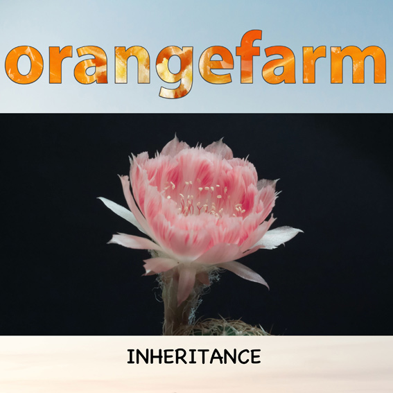 Orangefarm Inheritance